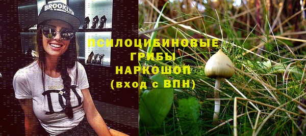 хмурый Горняк